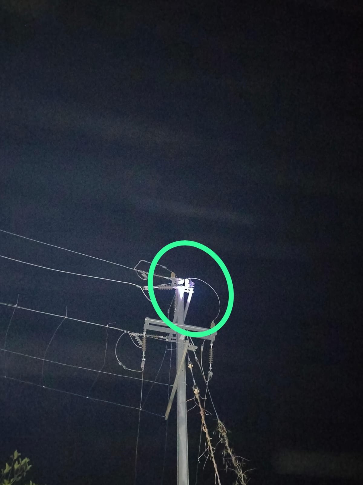 A Bat can Break Supply of Electricity