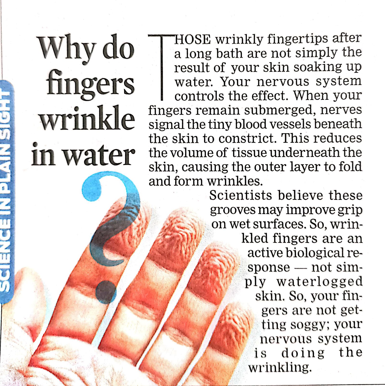 Why do fingers wrinkle in water !