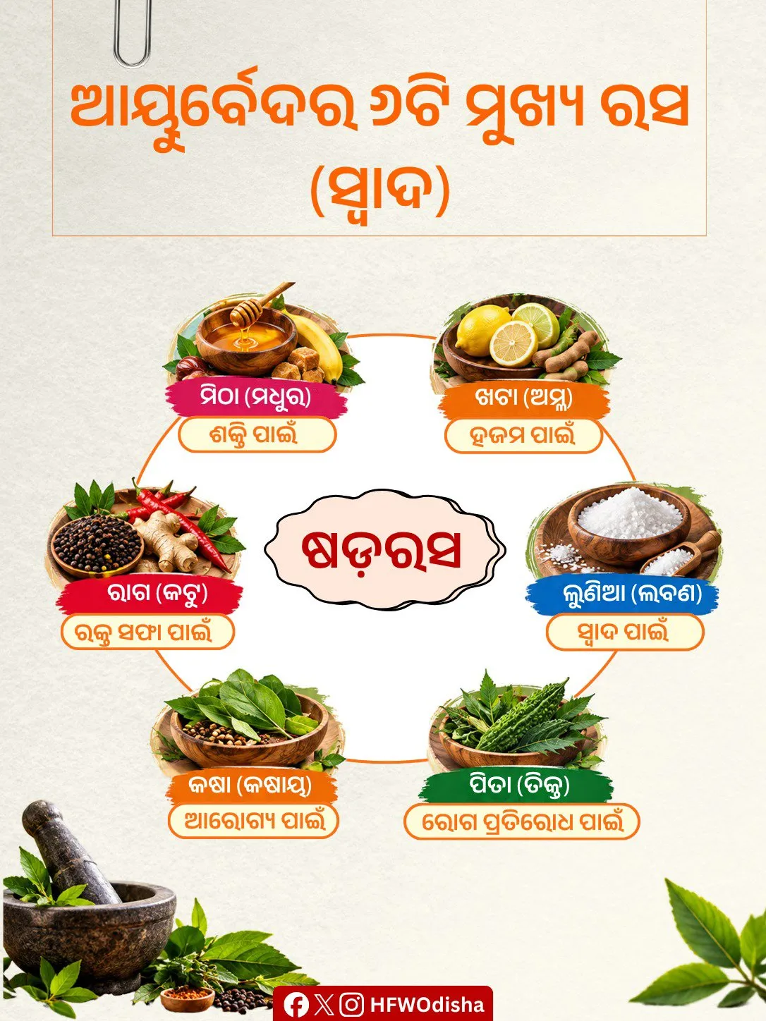 Today is Ayurveda Day ଆଜି ଆୟୁର୍ବେଦ ଦିବସ